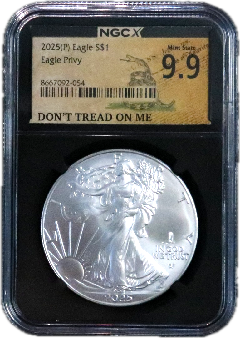 2025 Silver Eagle Eagle Privy in NGCX 9.9 holder