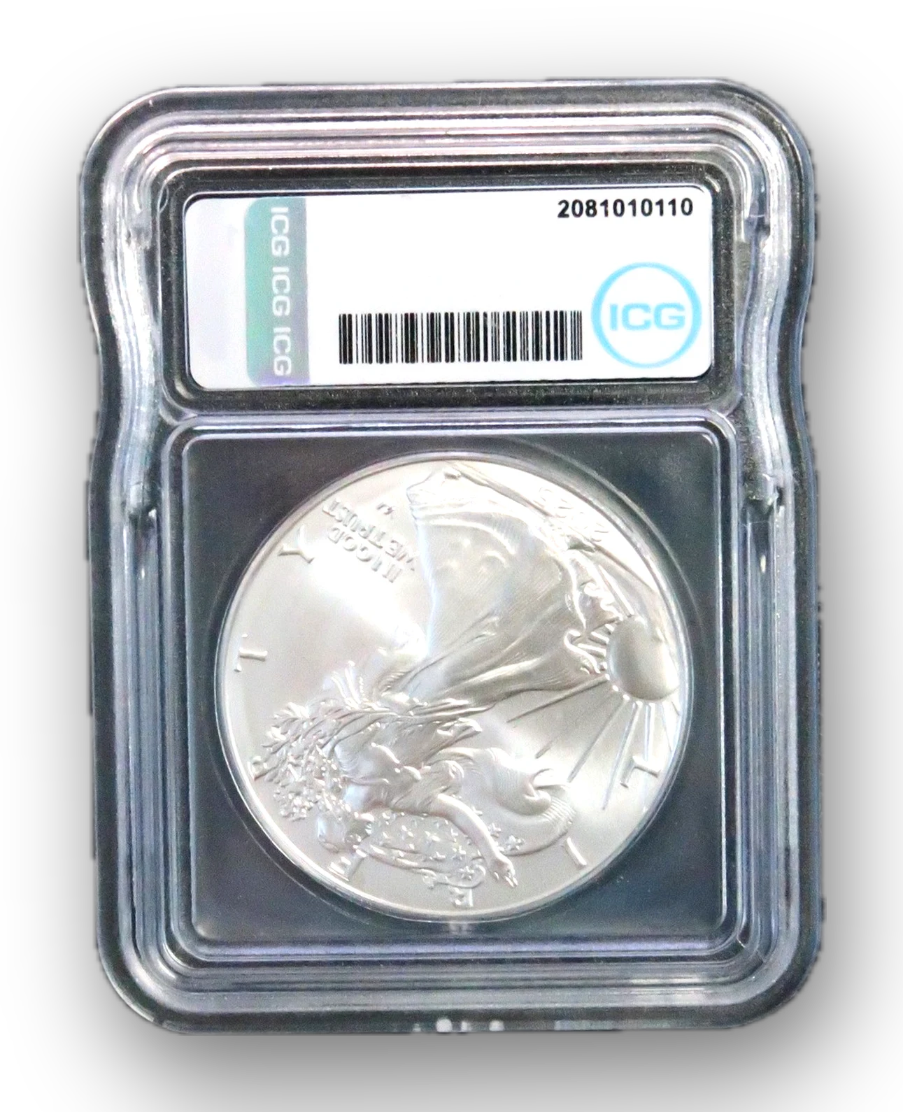 2025-W American Silver Eagle