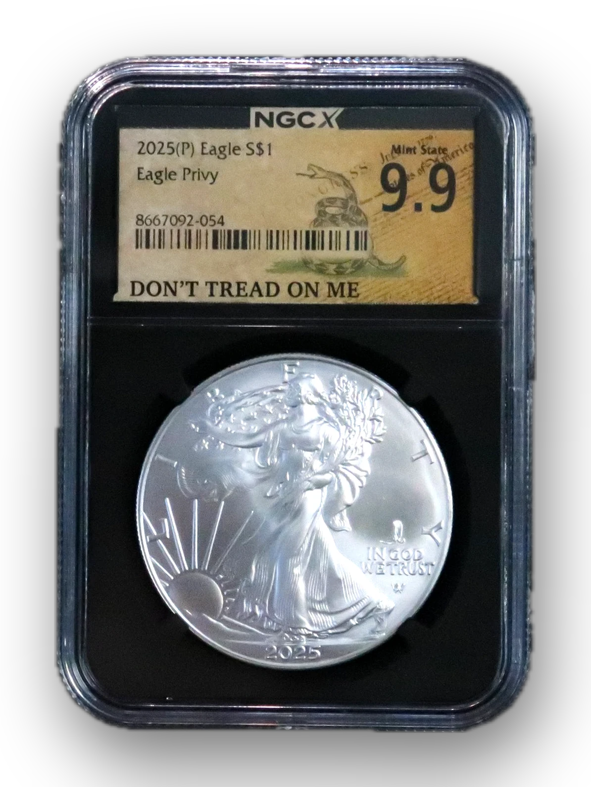 2025 Silver Eagle Privy