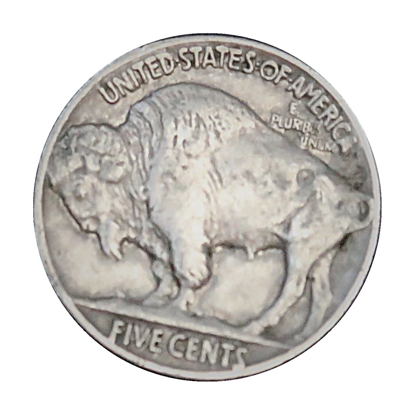 Buffalo Nickel