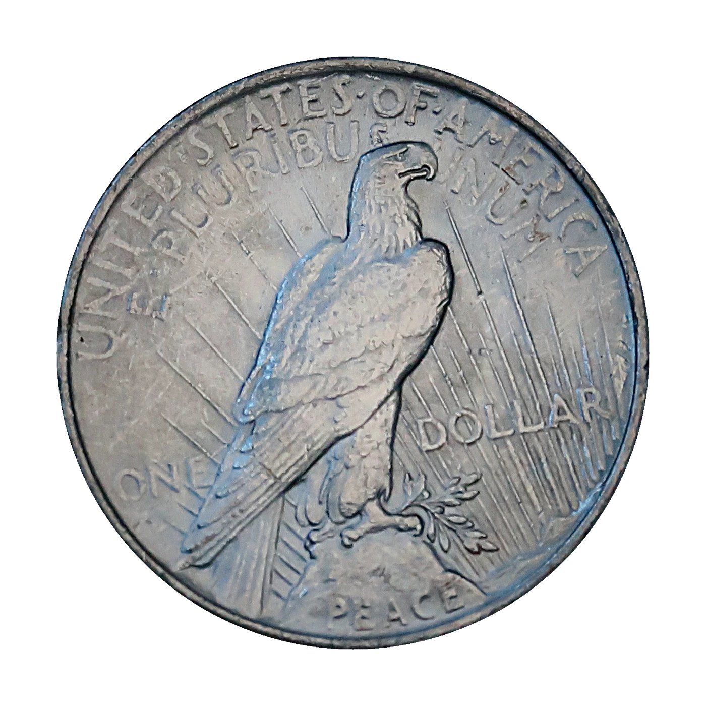 1923 Peace Dollar (reverse)