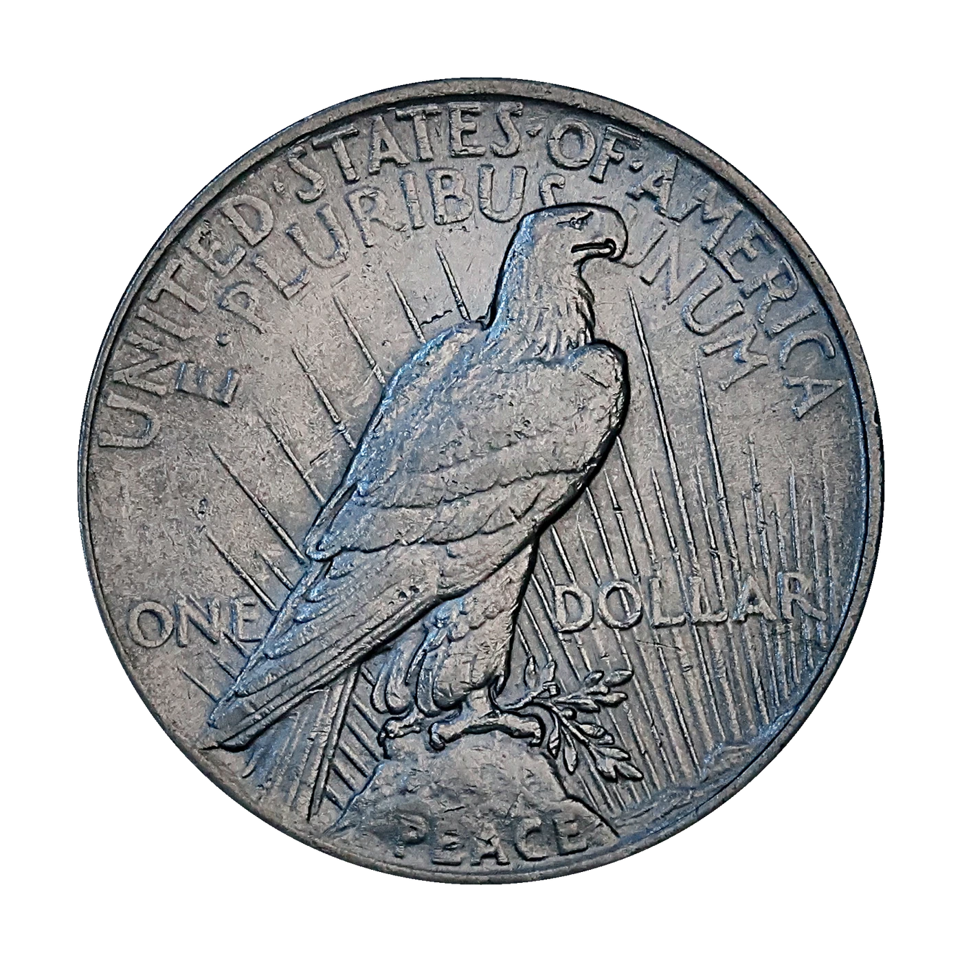 1925 Peace Dollar (reverse)