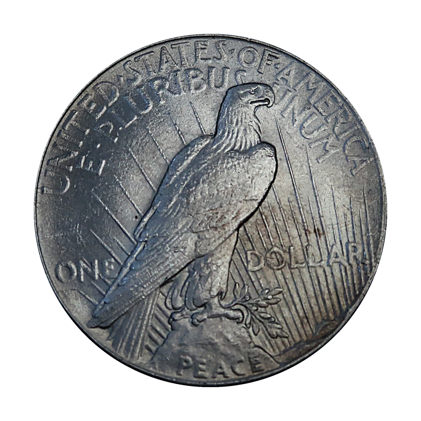 1926 Peace Dollar (reverse)